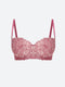 Underwire Non-Padded Lace Fantasy Strapless Bra